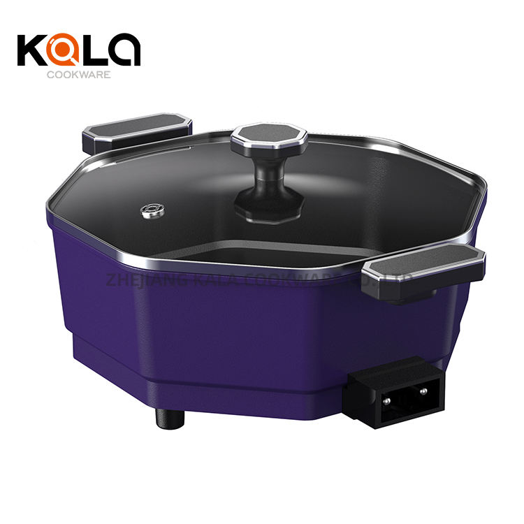 6L electric cooking pot with bakelite handles & knob
